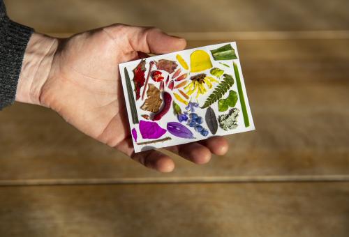 A piece of card in a hand with lots of different coloured flower leaves stuck to the card